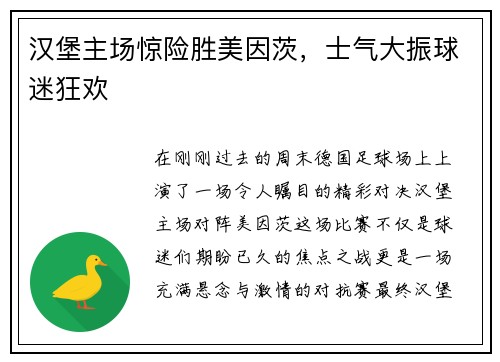 汉堡主场惊险胜美因茨，士气大振球迷狂欢