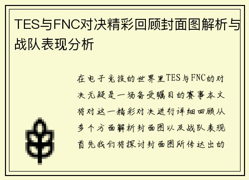 TES与FNC对决精彩回顾封面图解析与战队表现分析